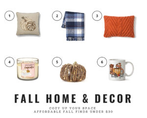 Fall Decor Under 30